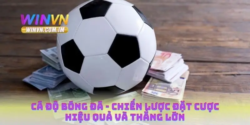 Cá độ bóng đá