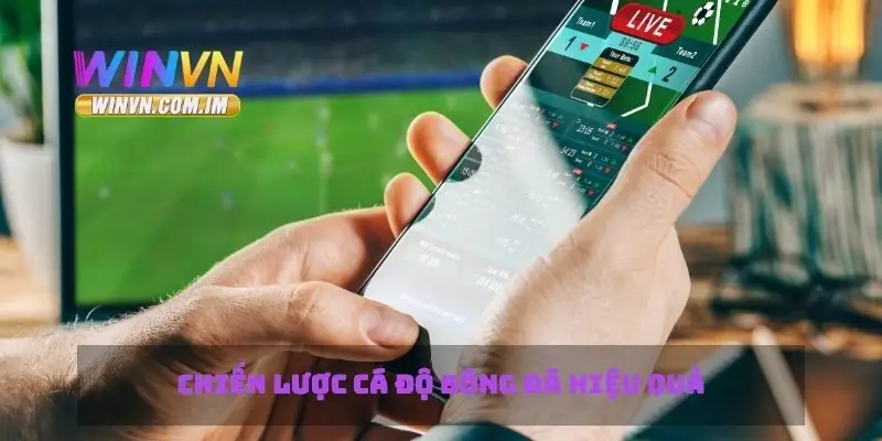Chiến lược cá độ bóng đá hiệu quả