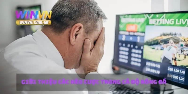 Giới thiệu các kèo cược trong cá độ bóng đá