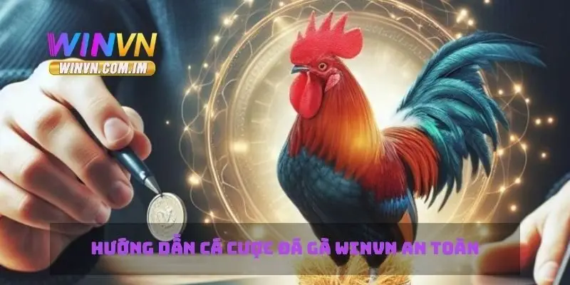 Hướng dẫn cá cược đá gà Winvn an toàn