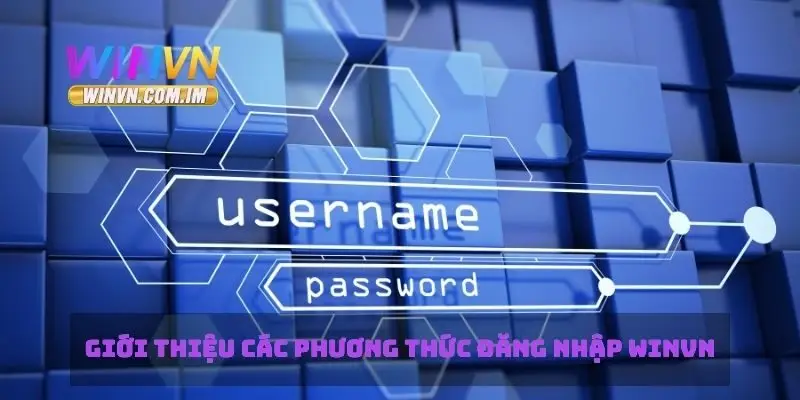 Giới thiệu các phương thức đăng nhập Winvn