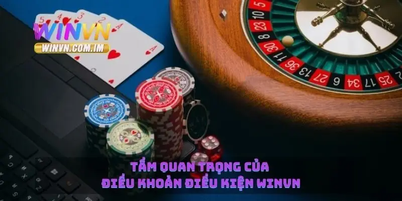 Tầm quan trọng của điều khoản điều kiện Winvn